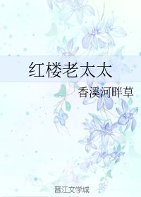 （紅樓同人）紅樓老太太