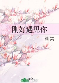 刚好遇见你
